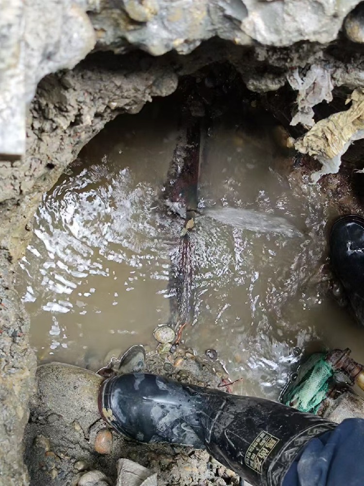 潍城本地绿化水管漏水检测维修